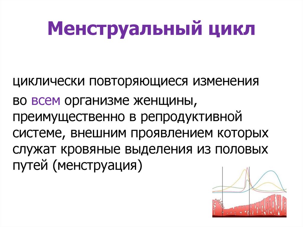 Месячные цикл. Менструальный цикл. Менструальный цикл презентация. Менструальный цикл это повторяющийся. Менструальный цикл внешние проявления.