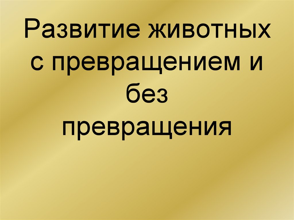 Презентация на тему развитие животных с превращением и без превращения