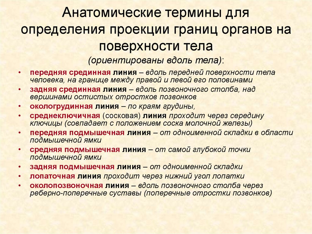 Определенной терминологии. Анатомические термины. Анатомия анатомические термины. Терминология в анатомии человека. Термины в анатомической терминологии.