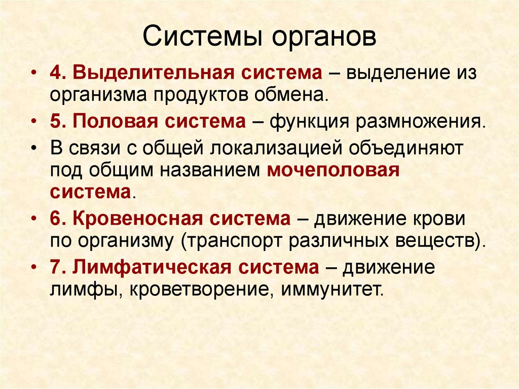 Какие системы органов выполняют выделительную функцию. Система органов размножения функции. Функции выделительной системы. Выделительная система органы и функции. Выделительная система ф.