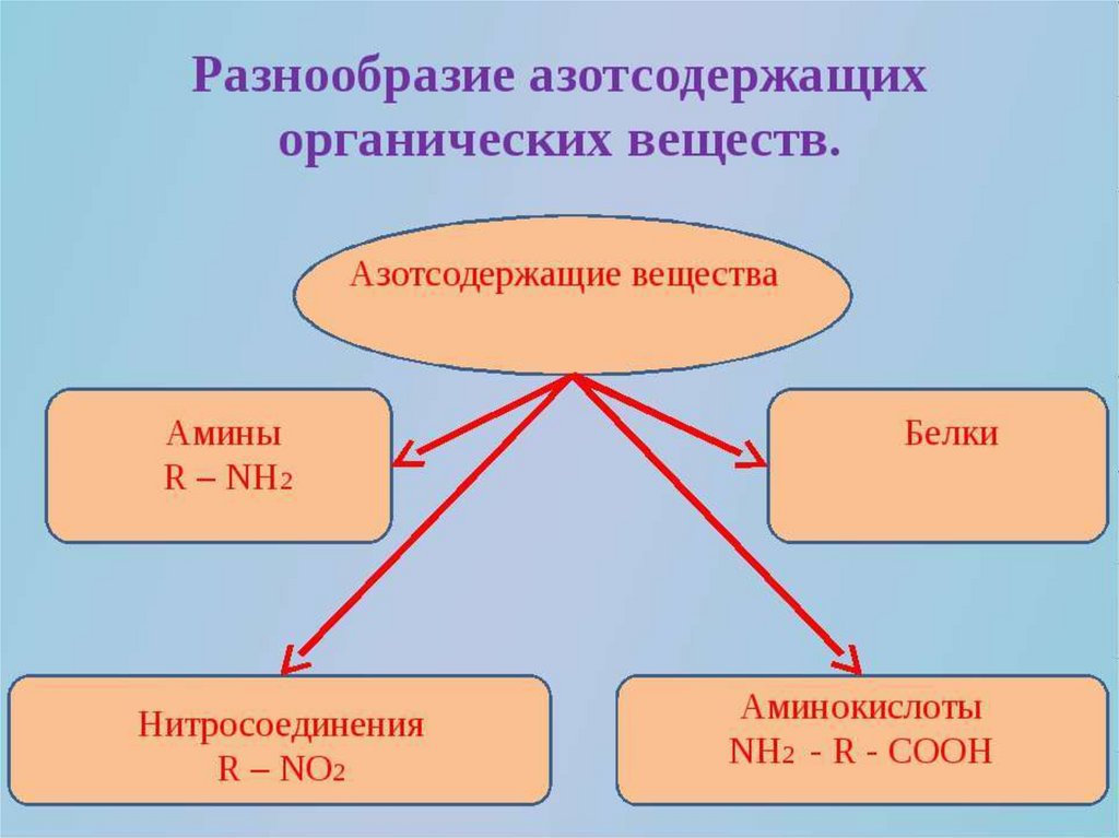 Разнообразием 2. Азотсодержащие органические соединения схема. Азотосодержащее органическое соединение классификация. Азотсодержащие органические вещества. Классификация азотсодержащих органических соединений.