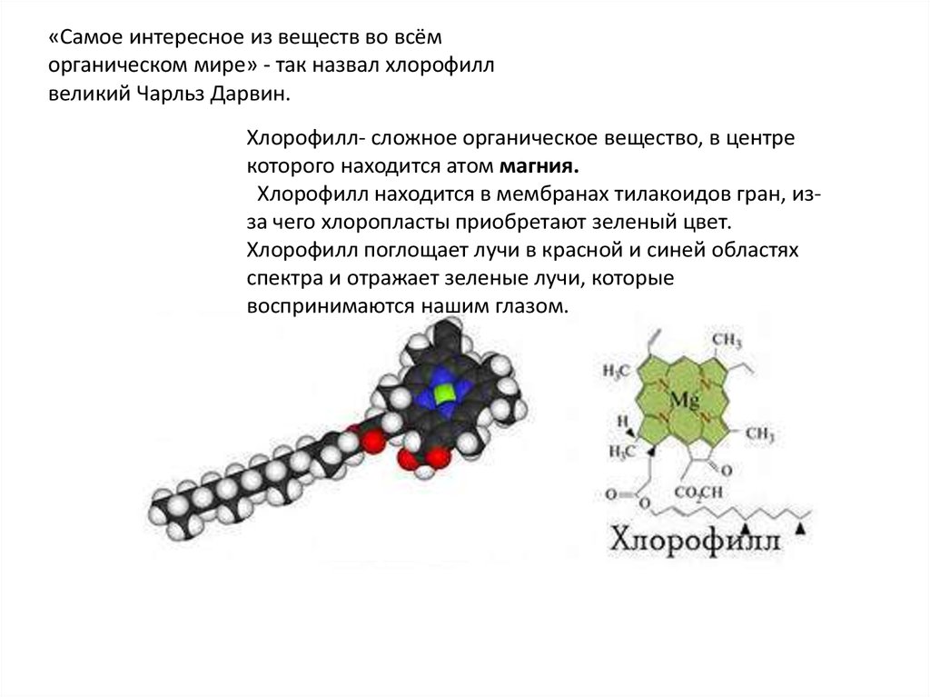 Сложно органические. Хлорофилл органическое вещество. Хлорофилл химическое вещество. Самые необычные соединения в органике. Самое сложное органическое вещество.