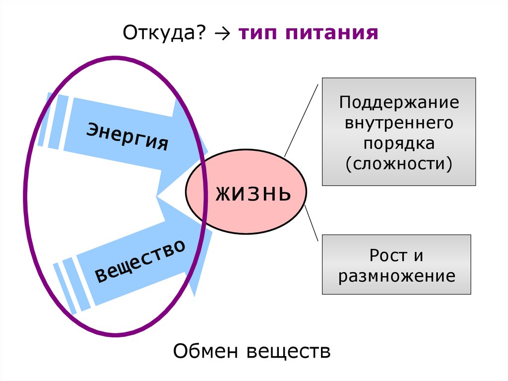 Типа откуда