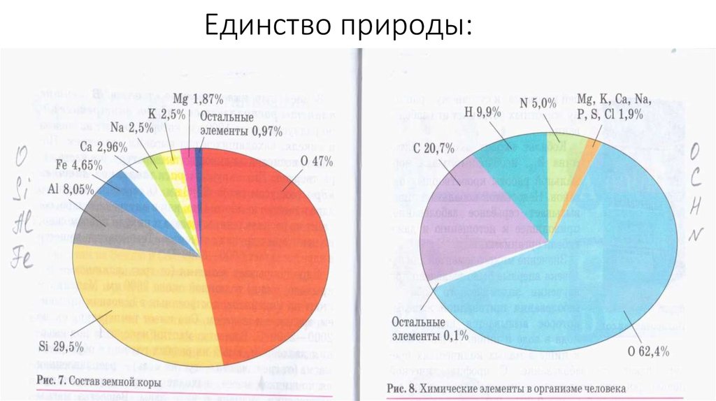 Единство природы сходство элементарного химического состава. Единство природы сходство элементарного химического состава