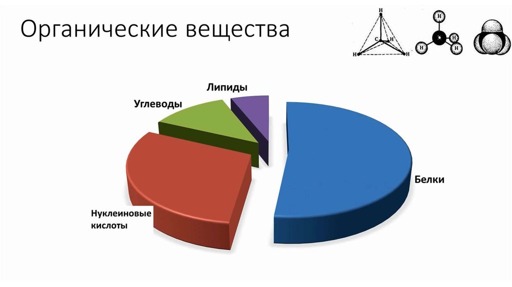 Биологические органические вещества. Органические вещества клетки диаграмма. Круговая диаграмма органических веществ в клетке. Органические вещества клетки белки жиры углеводы. Состав клетки диаграмма.