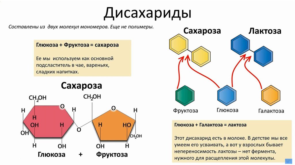 Молекулярный уровень организации жизни презентация 11 класс