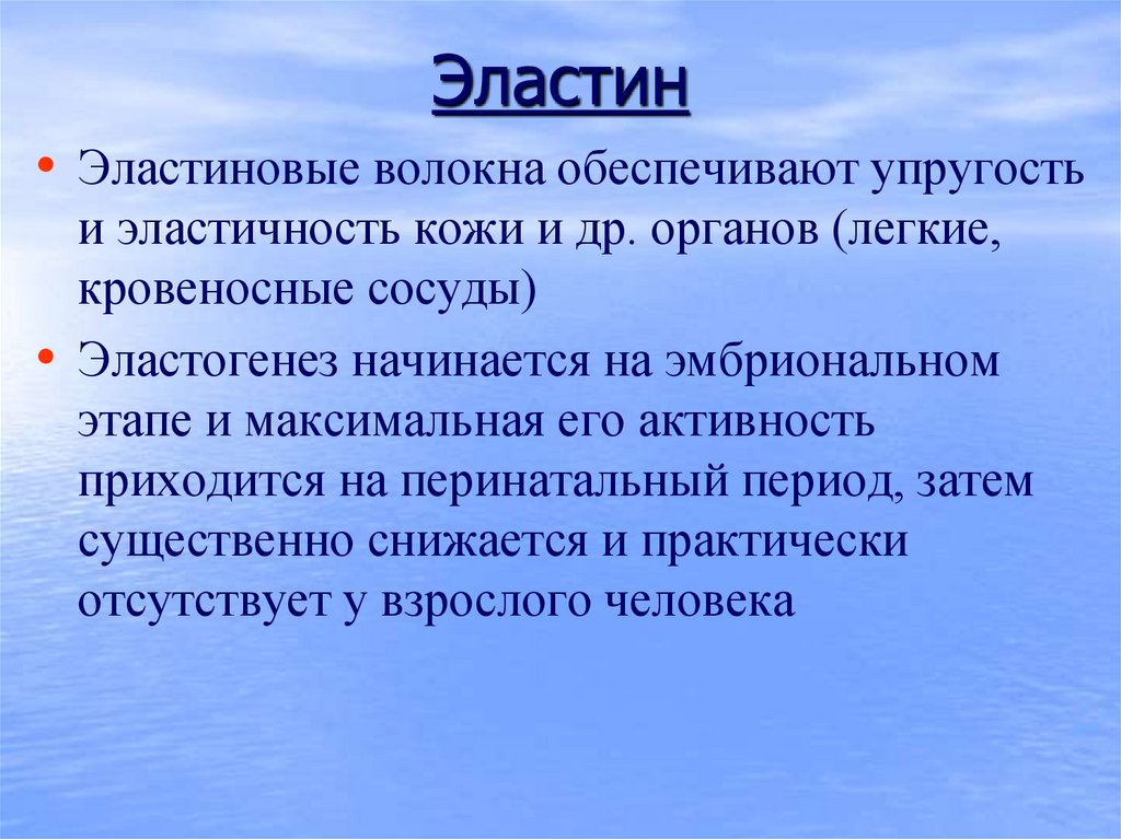 Эластин. Функции эластина биохимия. Строение и функции эластина. Локализация эластина. Эластин белок функция.