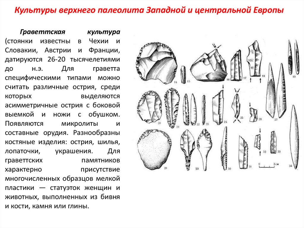 Какие женские изображения были распространены в эпоху палеолита