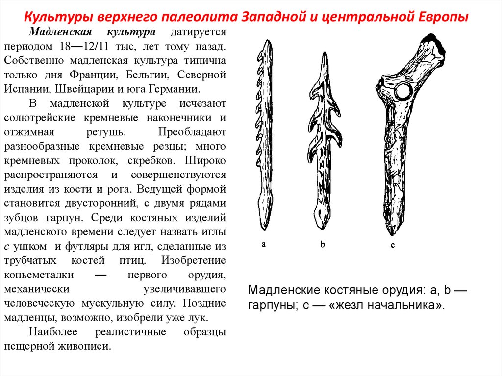 Как называется костяной или металлический стержень. Культуры верхнего палеолита. Верхний палеолит охватывает период. Верхний палеолит Европы. Гарпун верхний палеолит.