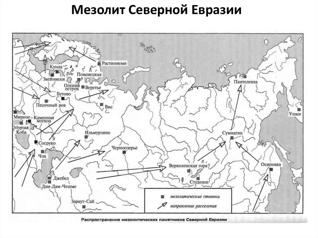 Мезолит Северной Евразии