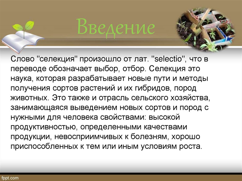 Слова сорт. Новые пути и методы получения сортов растений разрабатывает наука. Актуальность селекции. Слово селекция означает отбор. Заключение в проекте по селекции.