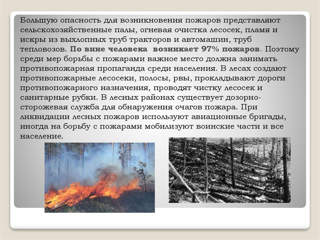 Большую опасность для возникновения пожаров представляют сельскохозяйственные палы, огневая очистка лесосек, пламя и искры из