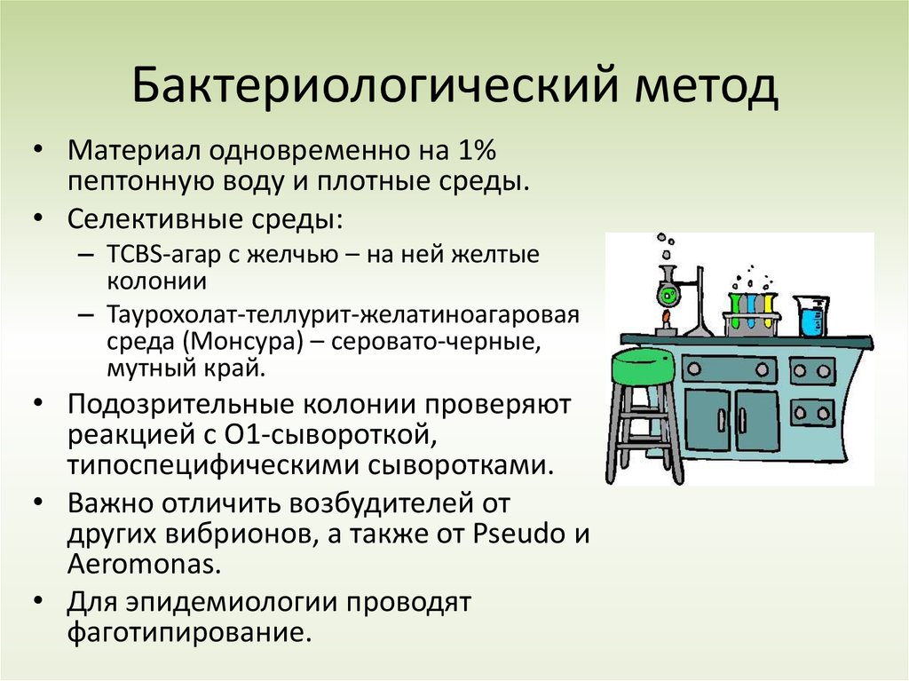 Бактериологический метод. Бактериологический метод холеры. Среда Монсура. Селективные среды для холеры. Задачи бактериологической лаборатории.