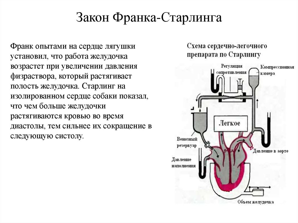 Давление в аорте в систолу