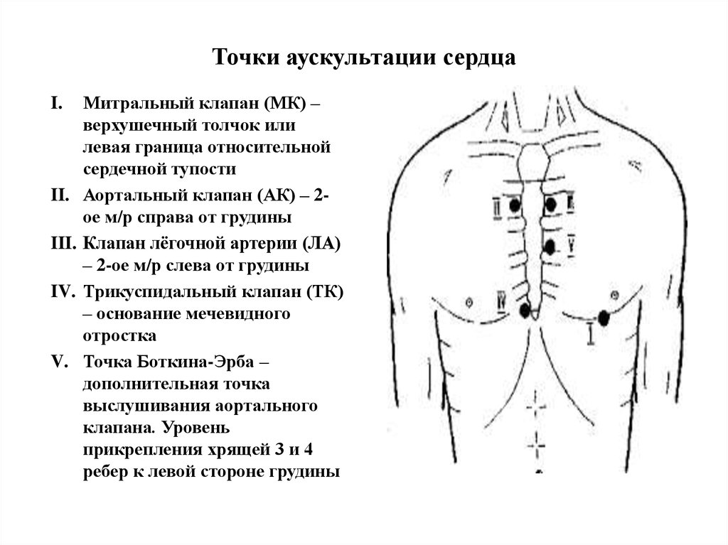 5 точка. Точки аускультации сердца пропедевтика. Точки аускультации тонов сердца. Точки выслушивания клапанов сердца при аускультации. Точка выслушивания трикуспидального клапана.