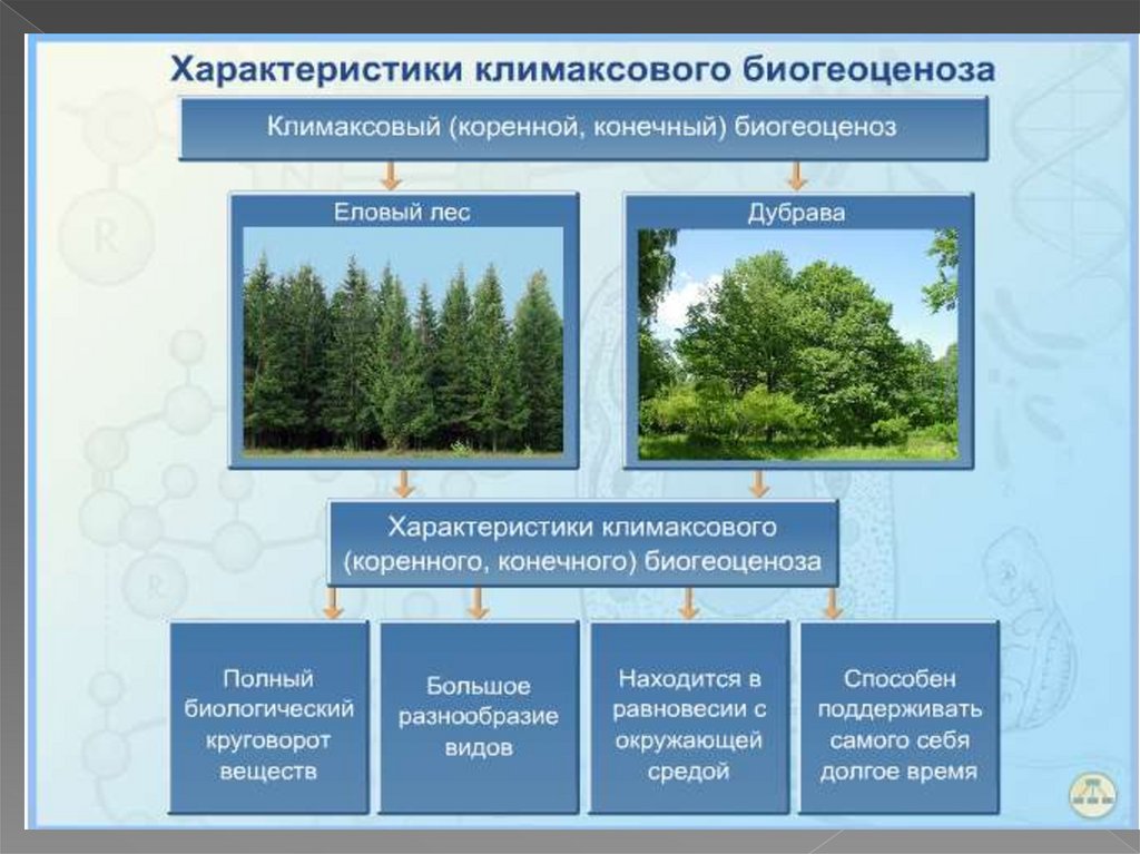 Для природных экосистем характерно. Изменение экосистемы. Этапы формирования экосистемы. Биогеоценоз. Смена биогеоценоза примеры.