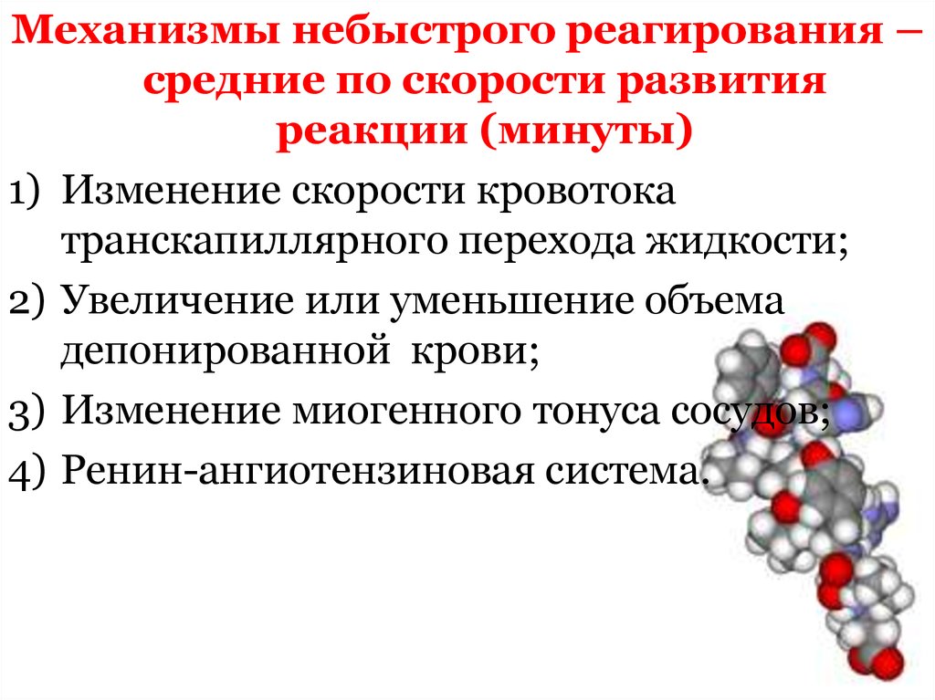 Механизм реактивного образования. Механизмы гемодинамики. Миогенный механизм регуляции тонуса сосудов. Функциональные группы сосудов физиология. Депонирующие сосуды.