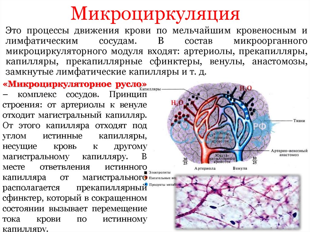 Механизмы нарушения лимфообращения схема