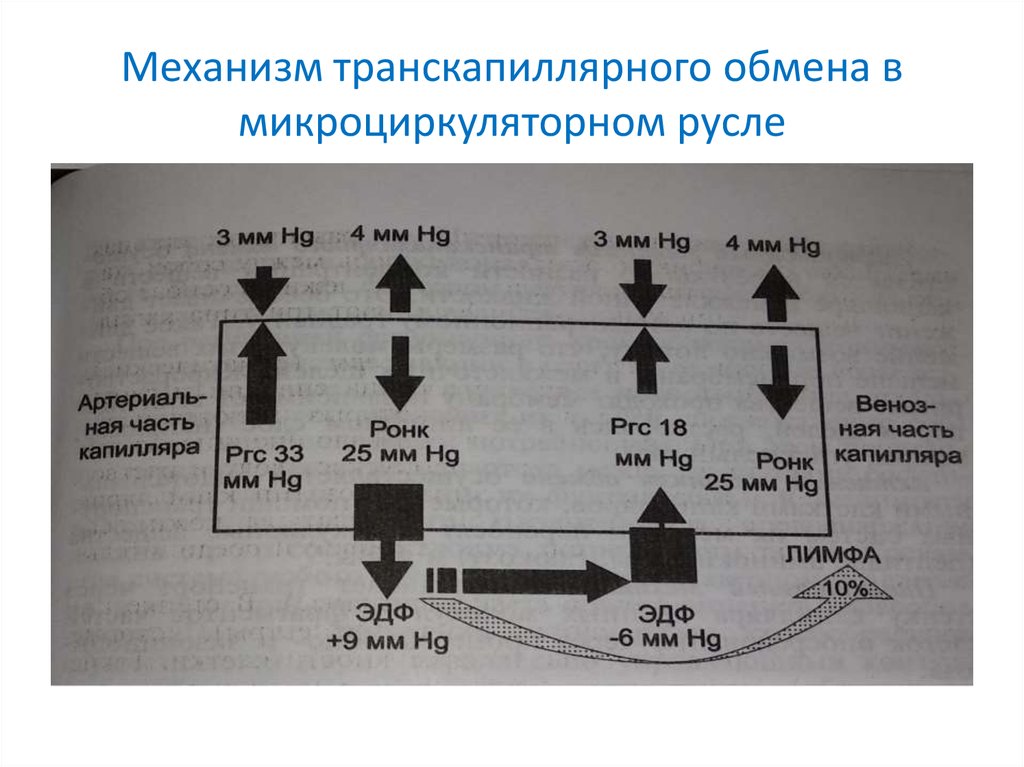 Обмен механизм обмена. Механизмы транскапиллярного обмена в капиллярах. Механизмы регуляции транскапиллярного обмена. Механизм транскапиллярного обмена физиология. Механизмы обмена в микроциркуляторном русле.