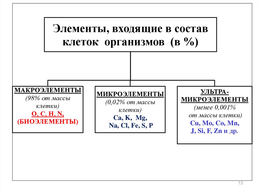 Состав клетки схема