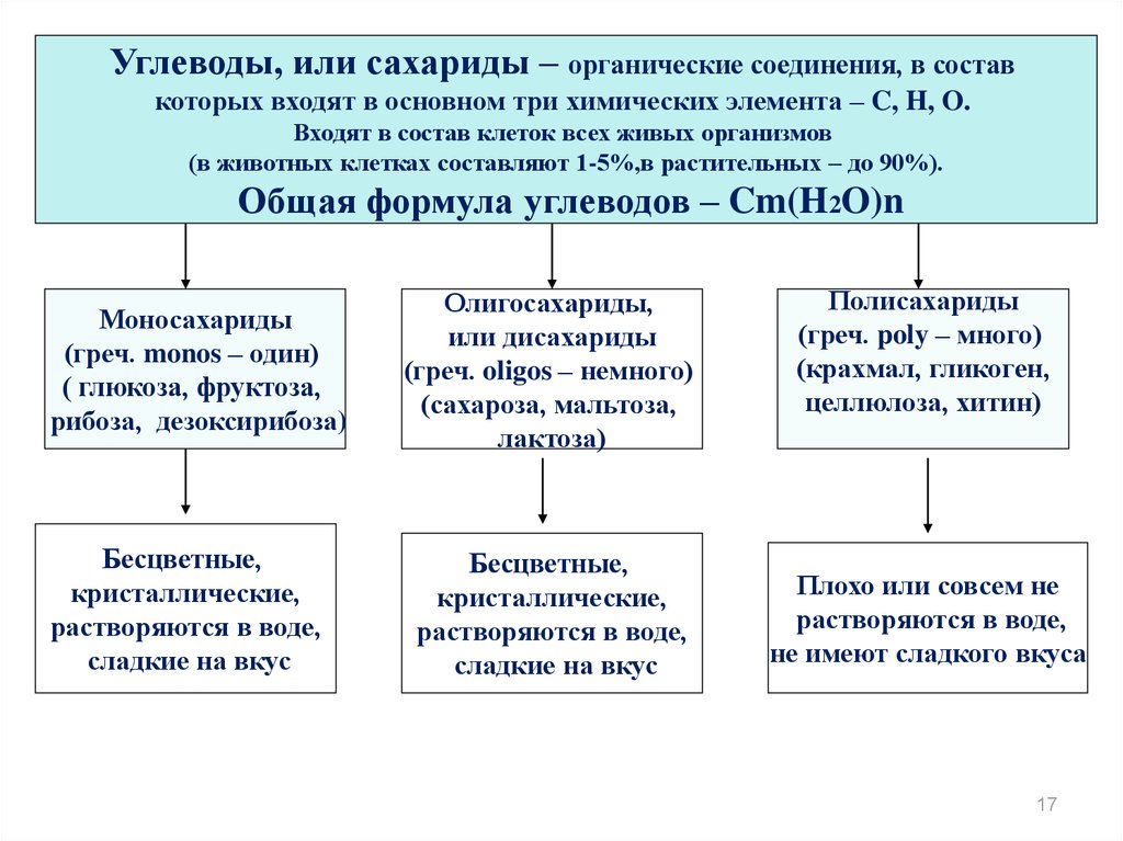 Современной клеточной теории соответствует. Клеточная теория химический состав клетки. Углеводы и современная клеточная теория.