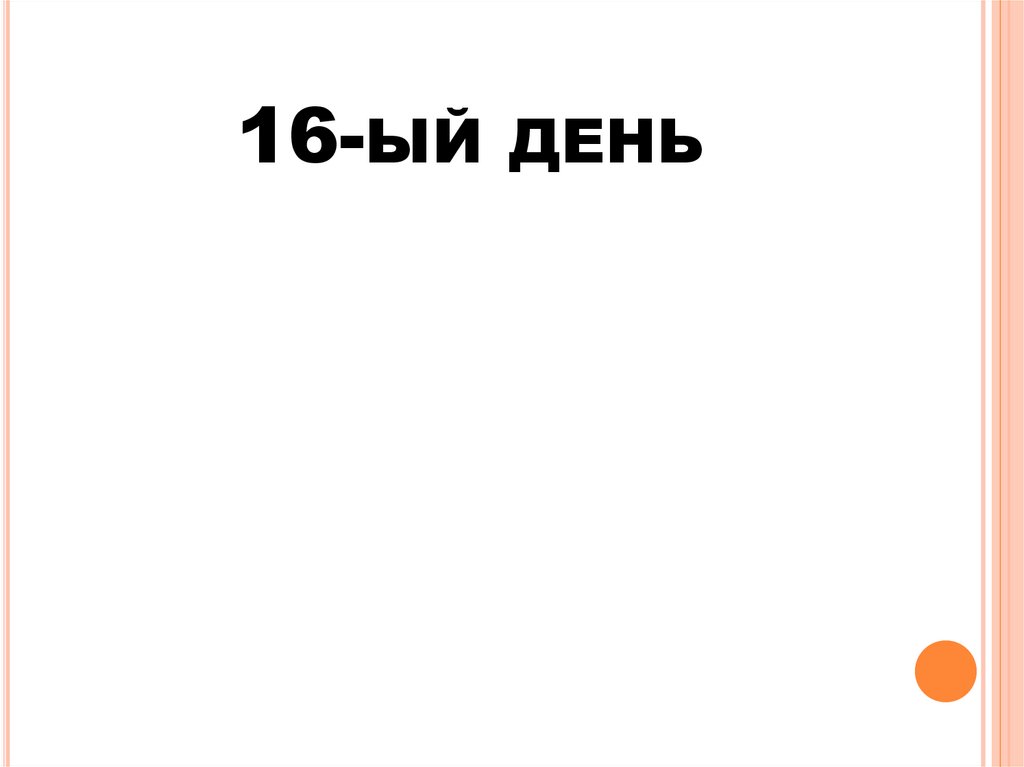 16-ый день