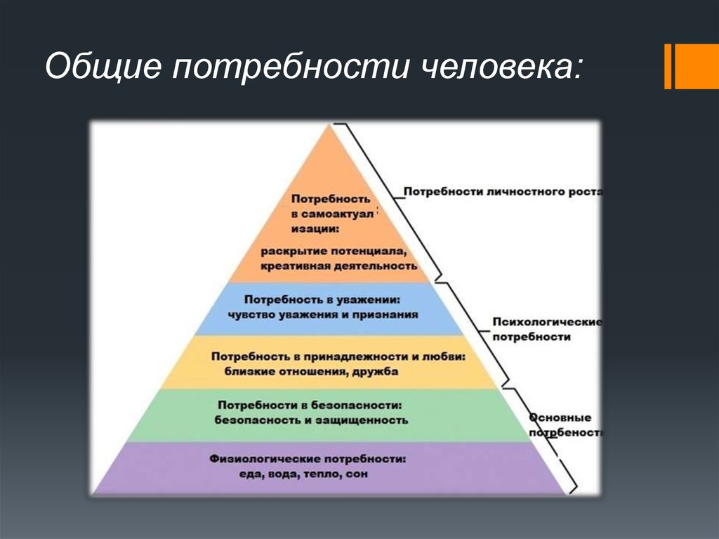 Фото потребности человека