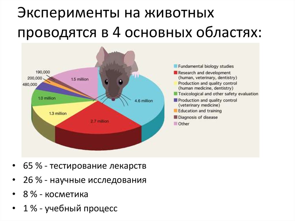 Тестирование косметических средств на животных проект