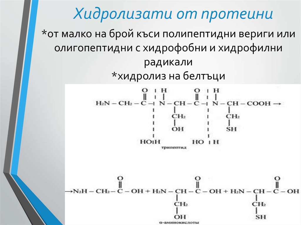 Хидролизати от протеини