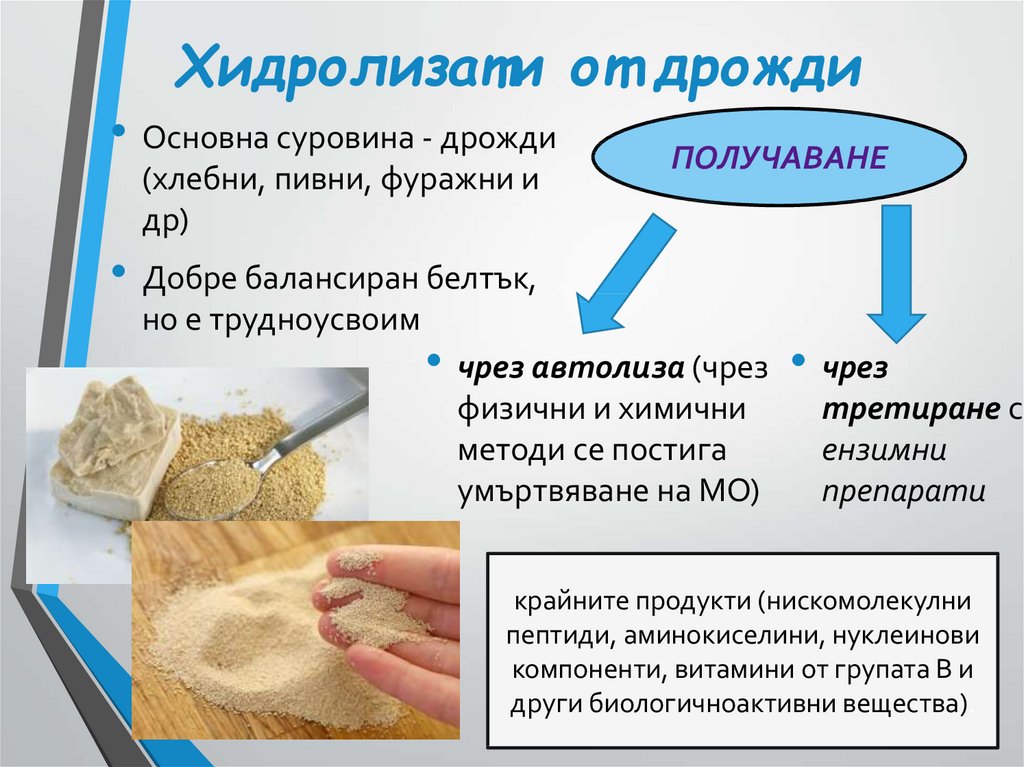 Хидролизати от дрожди