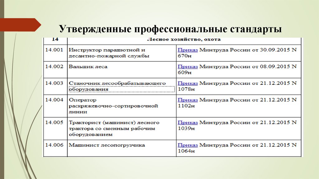 Профессиональный стандарт руководитель