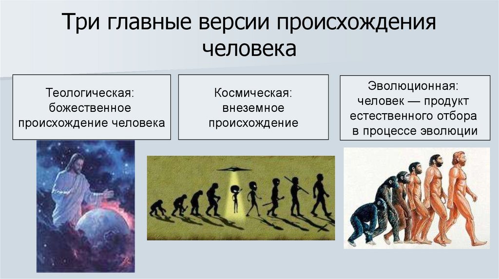 Современные представления о происхождении человека презентация