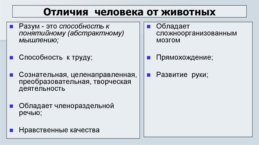 Что отличает человека от животного