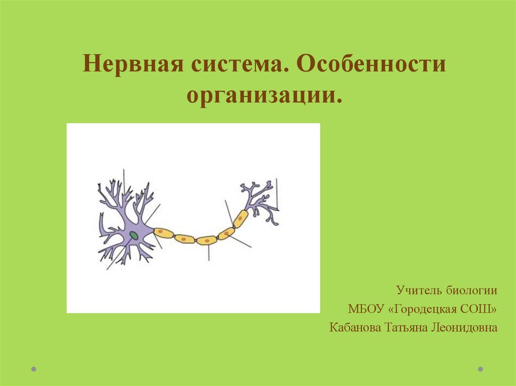 Тест на тему нервная. Нервная система. Строение нейрона. Нервная система биология. Фон для презентации нервная система.