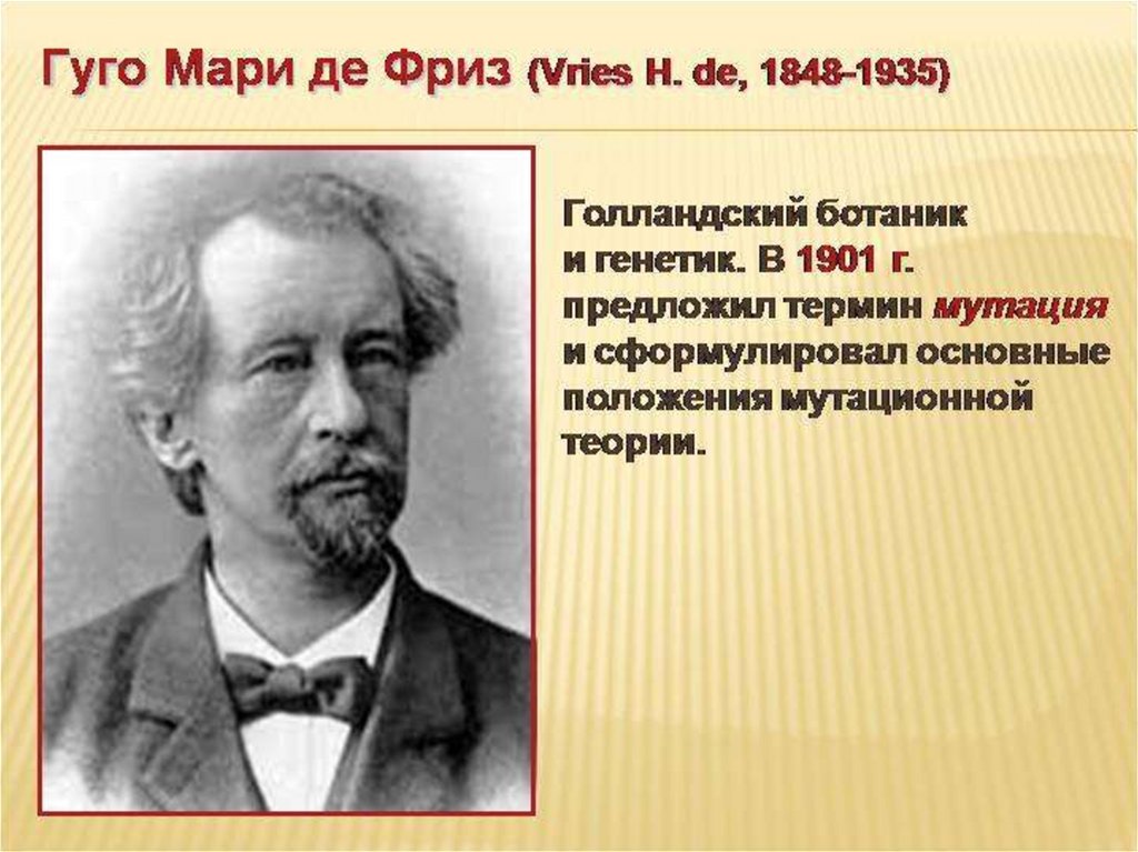 Де х. Гуго Мари де фриз. Ботаник Гуго де фриз. Гуго де фриз ученый. Гуго де фриз вклад в биологию.