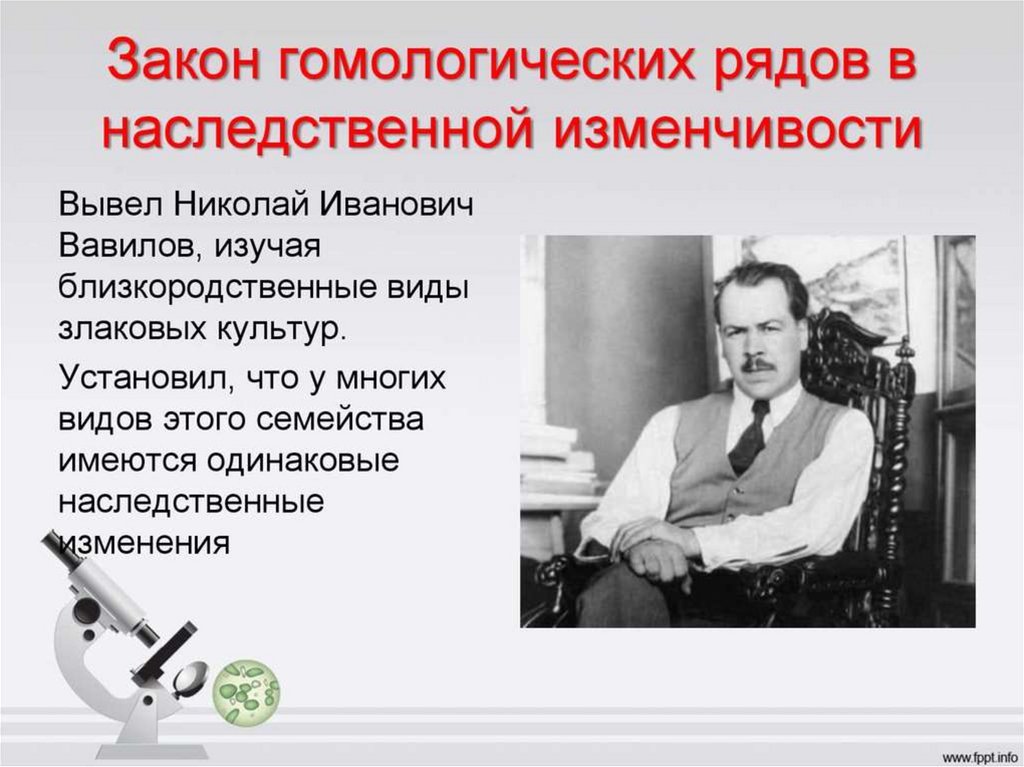 Закон гомологических рядов наследственной изменчивости. Закон Вавилова о наследственной изменчивости. Закон Вавилова о гомологических рядах наследственной изменчивости. Закон Николая Ивановича Вавилова. Закон гомологических рядов н.и. Вавилова.