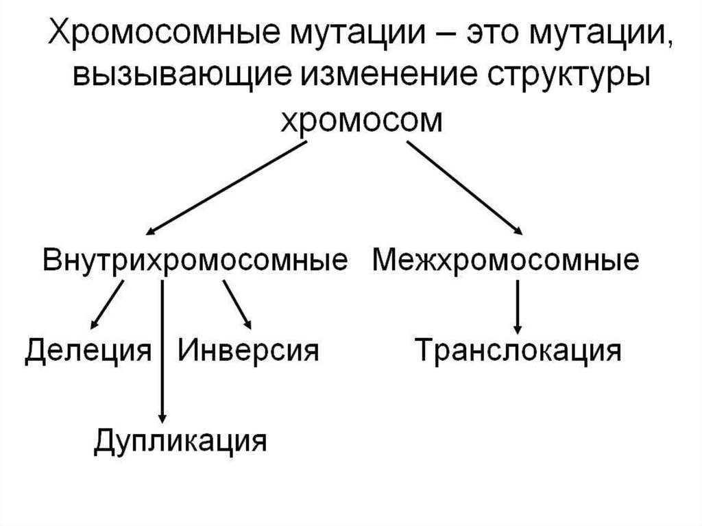 Типы хромосомных мутаций. Хромосомные мутации внутрихромосомные и межхромосомные. Хро¬МО¬сом¬ные му¬та¬ции. Хромомосомные мутации. Внутрихромосомная мутация.