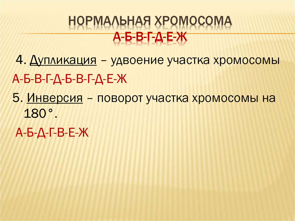 Удвоение участка хромосомы это. Удвоение участка хромосомы. Удвоение участка хромосомы это мутация. Дупликация. Разворот участка хромосомы.