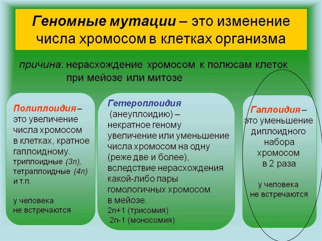 Какая мутация изображена на рисунке причиной какого заболевания является данная мутация