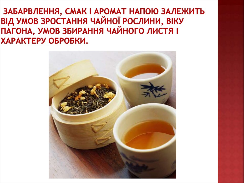 Забарвлення, смак і аромат напою залежить від умов зростання чайної рослини, віку пагона, умов збирання чайного листя і