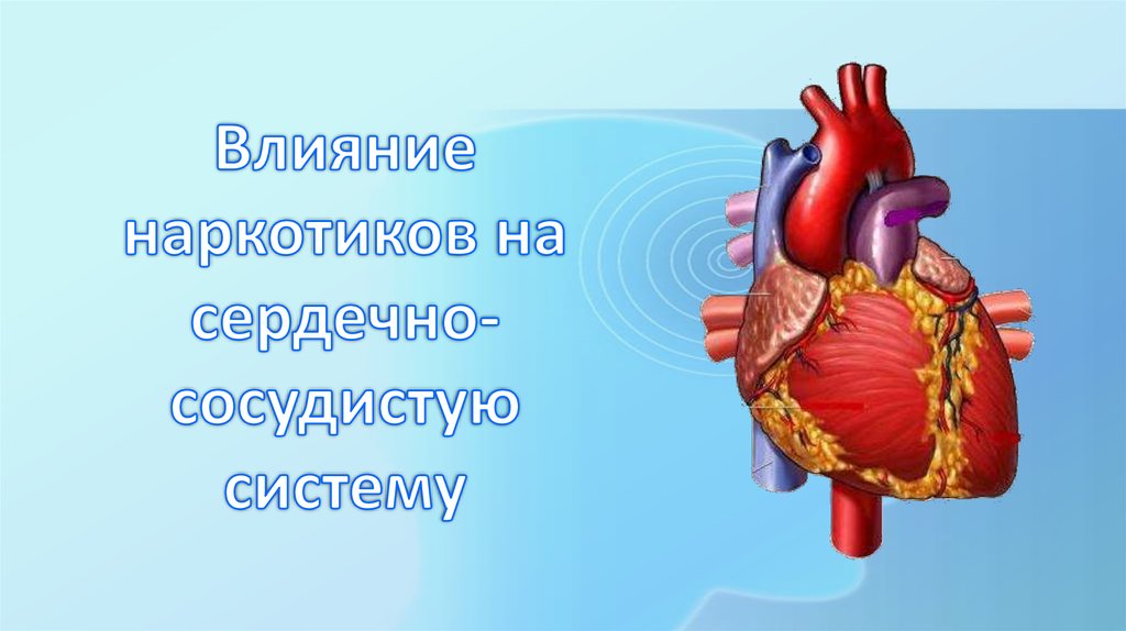 наркотики влияние сердце