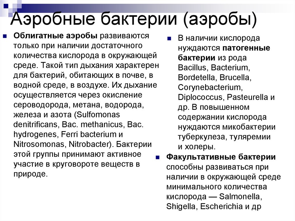 Аэробы. Аэробные бактерии. Аэробные организмы примеры. Аэробные микроорганизмы примеры. Аэробные формы микроорганизмов.