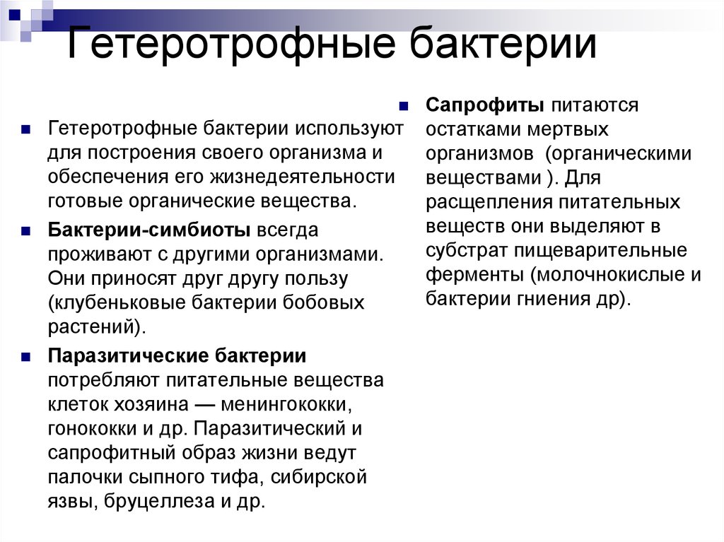 Гетеротрофные. Гетеротрофные бактерии. Гетеротрофные бактерии примеры. Гетеротрофные бактерии что делают. Гетеротрофные паразиты.