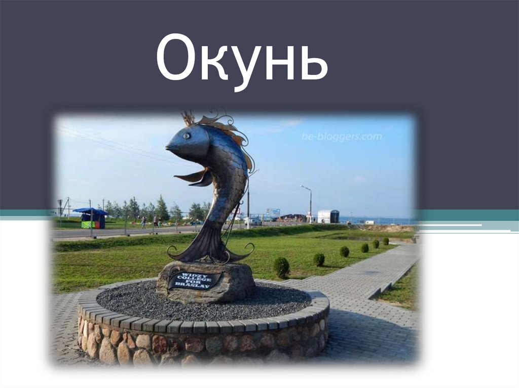 Окунь