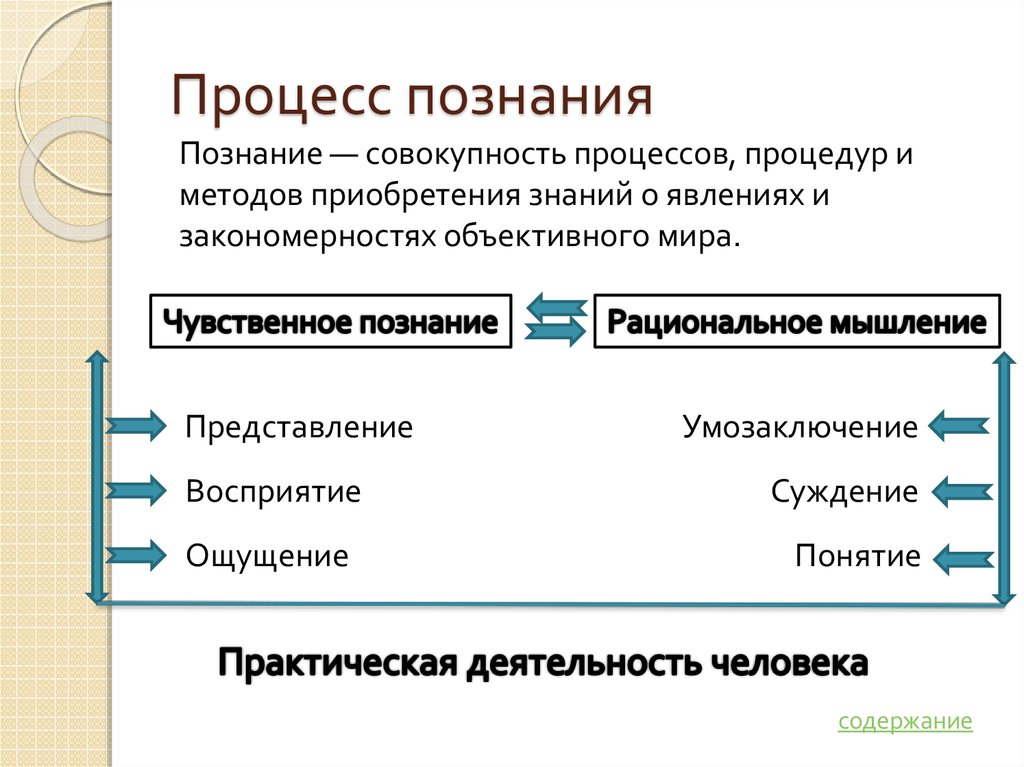 Основы знаний человека