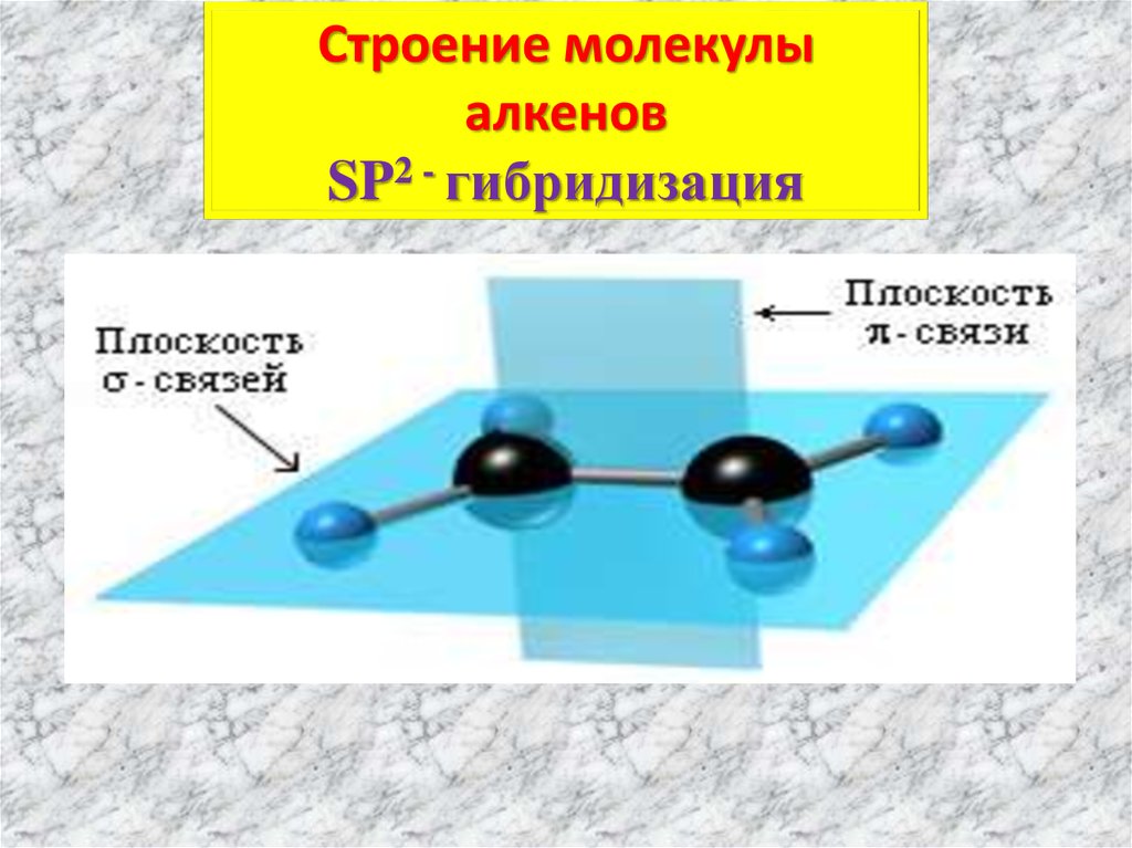 Алкены строение алкенов. Пространственное строение молекулы алкенов. Строение алкенов гибридизация. Алкены строение гибридизация. Молекулярное строение алкенов.