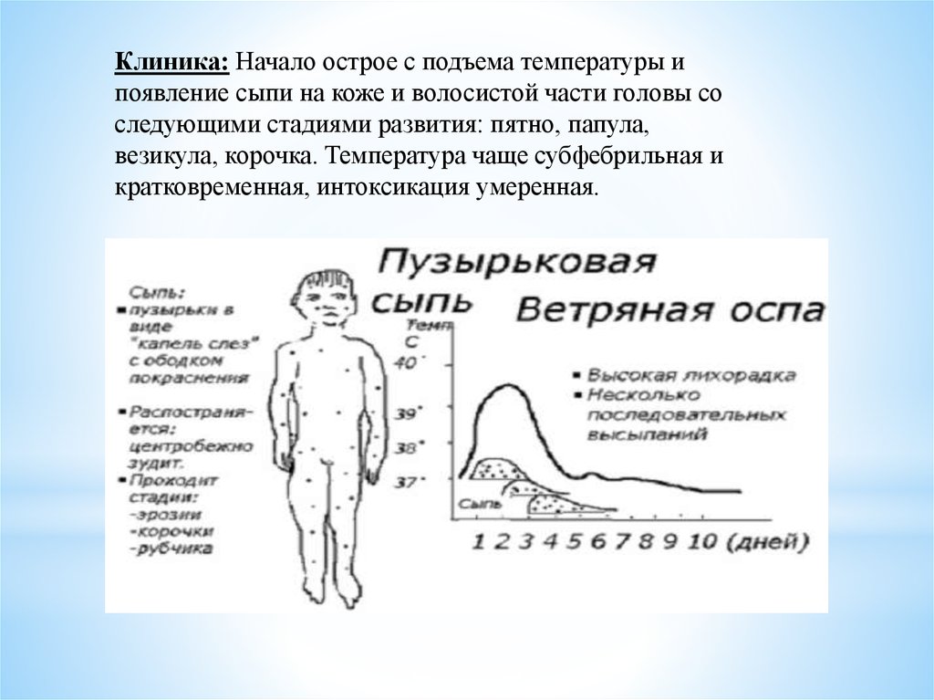 Заболевания с подъемом температуры. Этапы развития сыпи при кори. Подъем температуры и сыпь. Клиника начало.