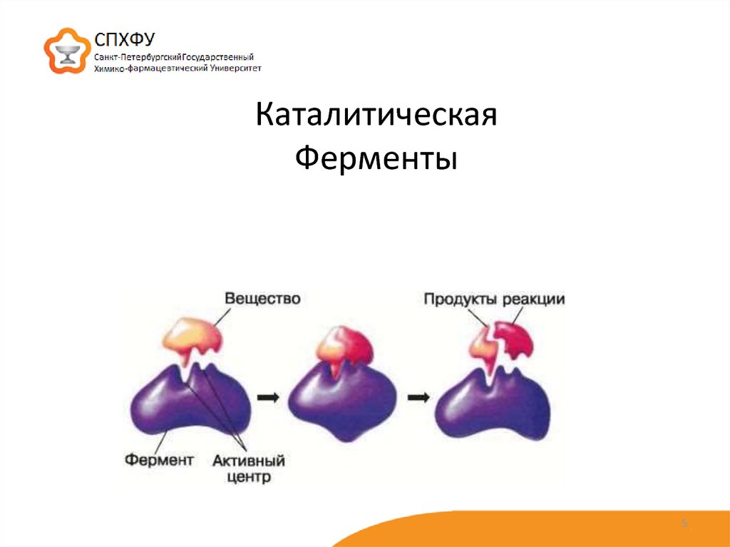 Схема образования комплекса фермент вещество