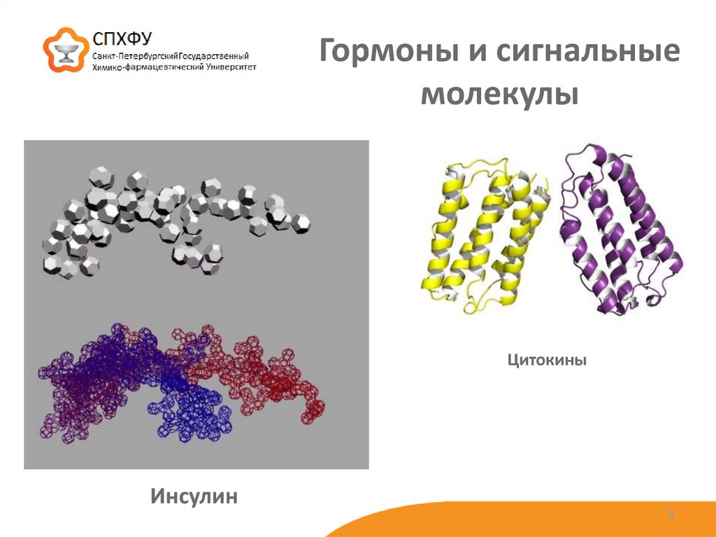 Строение и функции белков