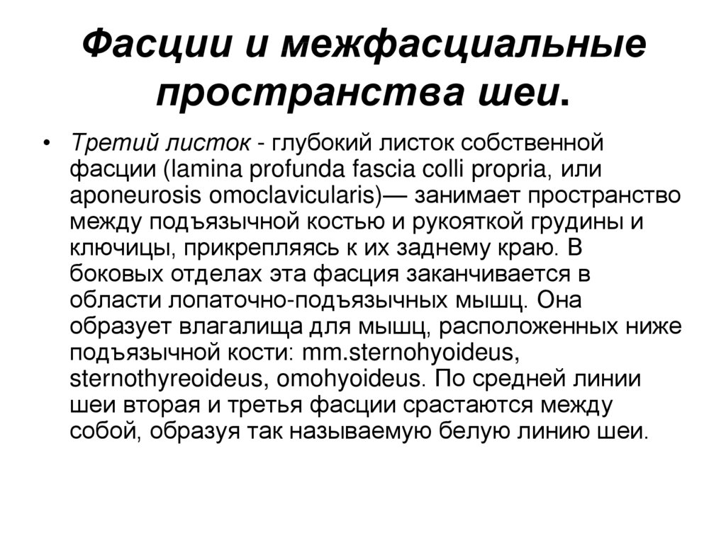 Фасции и межфасциальные пространства шеи.